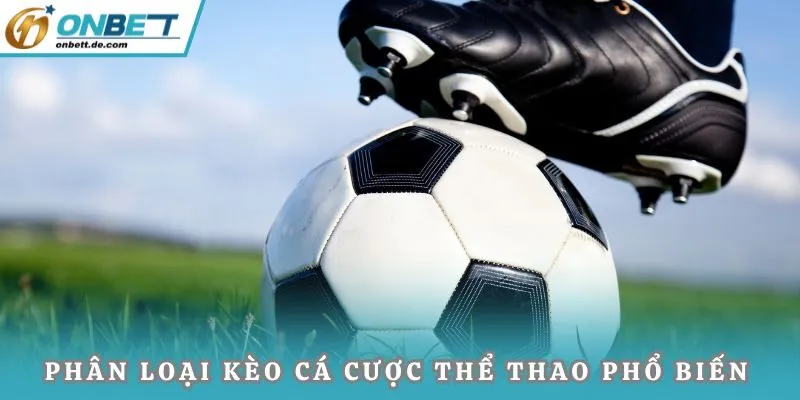 Phân loại kèo cá cược thể thao phổ biến