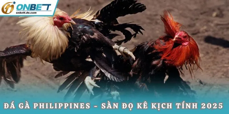 Đá gà Philippines