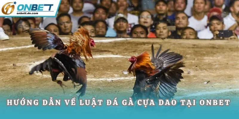 Hướng dẫn về luật đá gà cựa dao tại Onbet