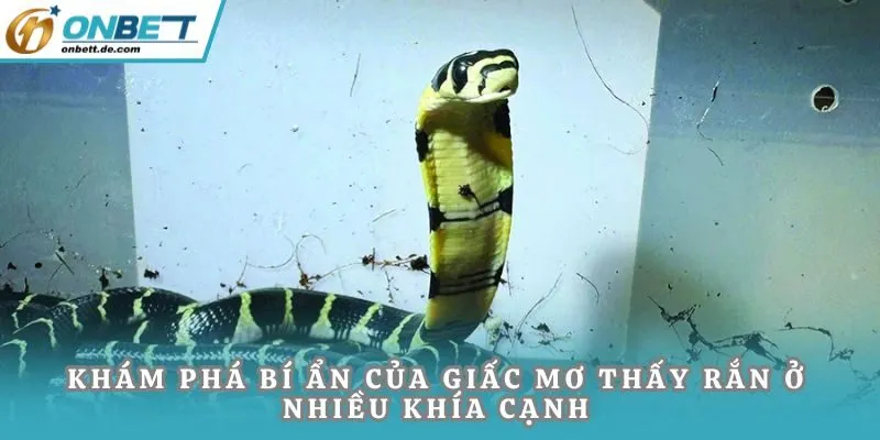 Khám phá bí ẩn của giấc mơ thấy rắn ở nhiều khía cạnh