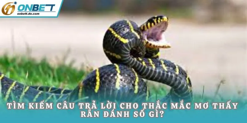 Tìm kiếm câu trả lời cho thắc mắc mơ thấy rắn đánh số gì?